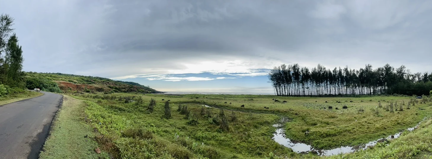 Panorama of green meadows and a line of trees under a grey monsoon sky